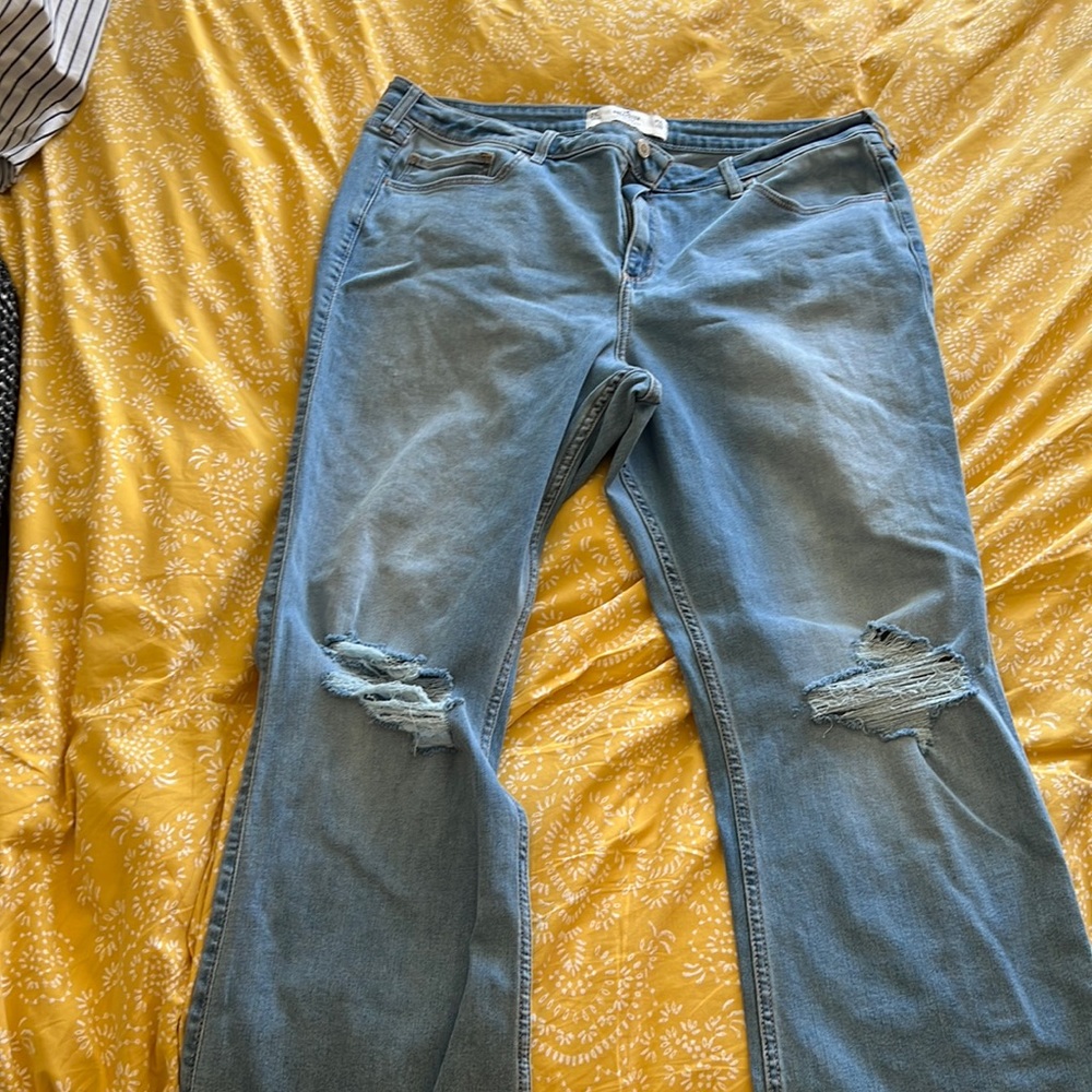 Nwt hollister bootcut jeans
